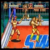 3 Count Bout - Fire Suplex