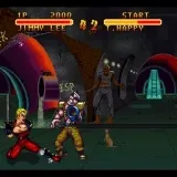 Double Dragon V - The Shadow Falls
