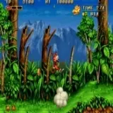 Magical Cat Adventure