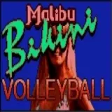 Malibu Bikini Volleyball
