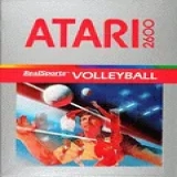 RealSports Volleyball